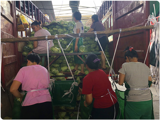 Z6·人生就是博(中国区)官方网站