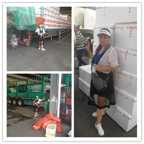 Z6·人生就是博(中国区)官方网站