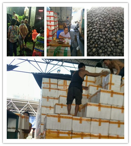 Z6·人生就是博(中国区)官方网站