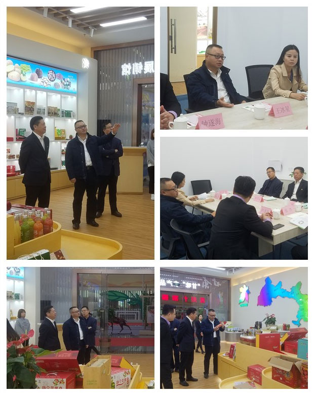 Z6·人生就是博(中国区)官方网站