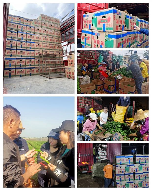 Z6·人生就是博(中国区)官方网站