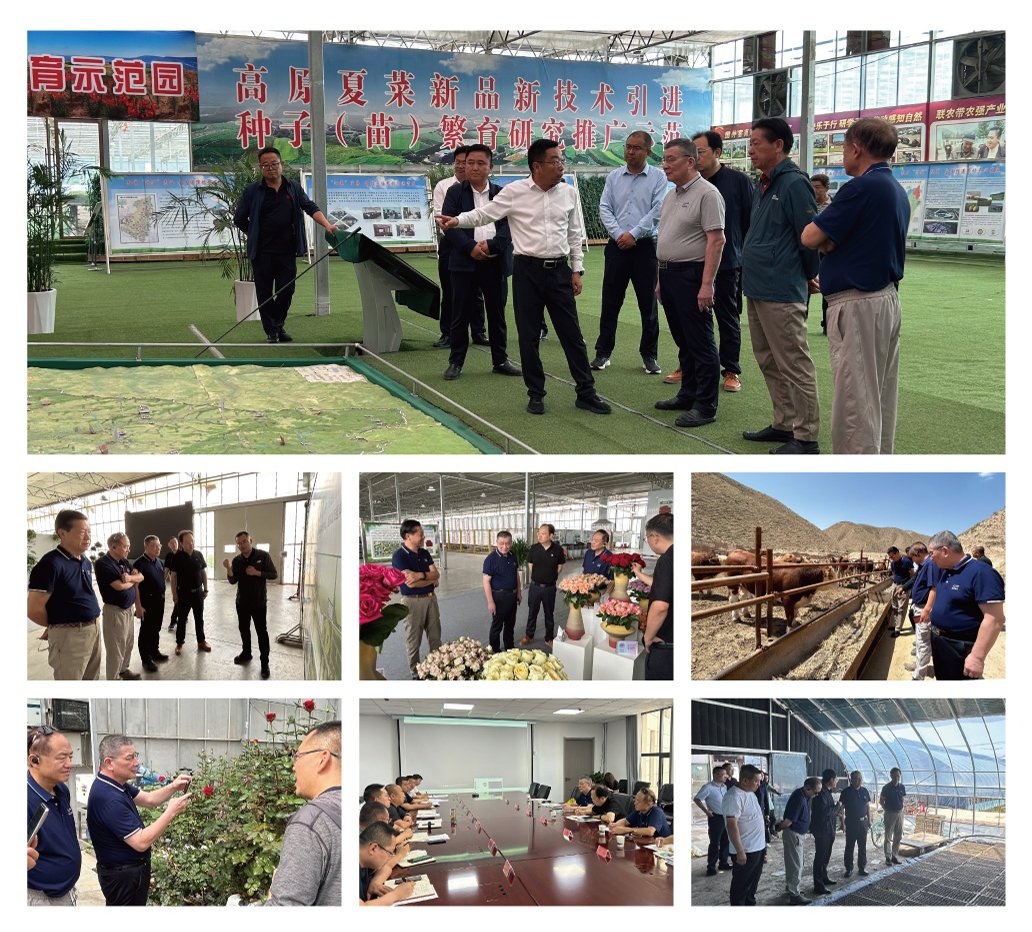 Z6·人生就是博(中国区)官方网站